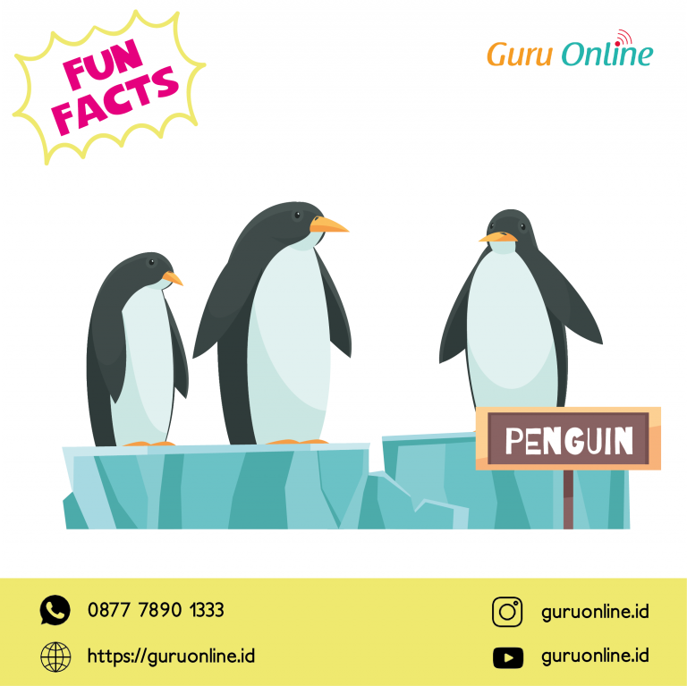 fakta penguin